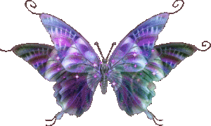 lavender-butterfly-animated-gif-317