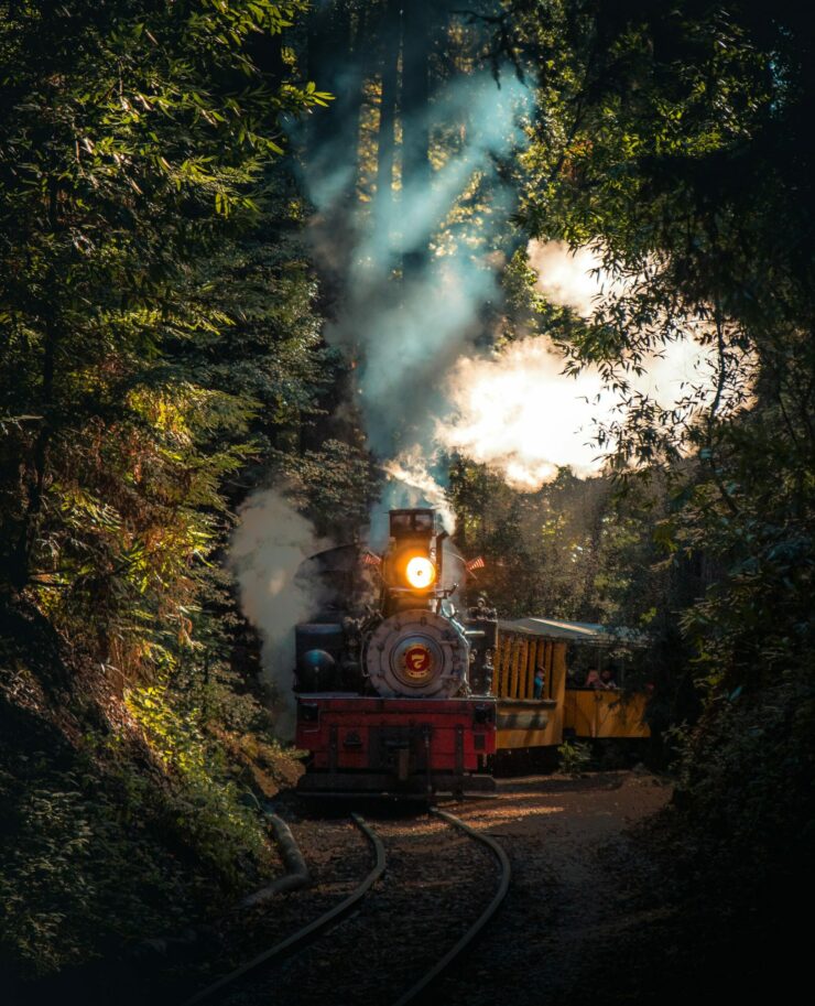 Bookstores In Southwest Colorado: Train to Four Corners Region, Durango