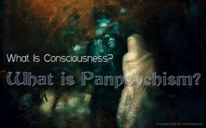 What Is Consciousness? Panpsychism View, Argument, Paradigm Mind Is Everything