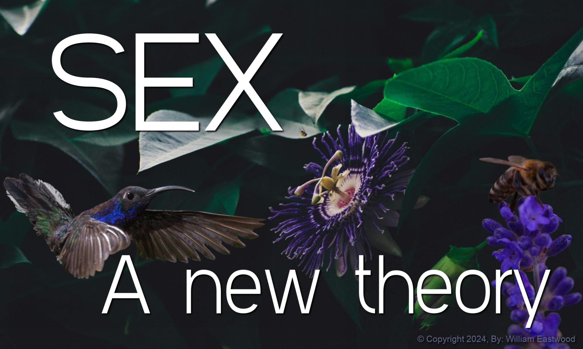 Can Human Sexuality Be Interpreted Differently? The New Hypothesis: Sexual Appreciation & Attraction